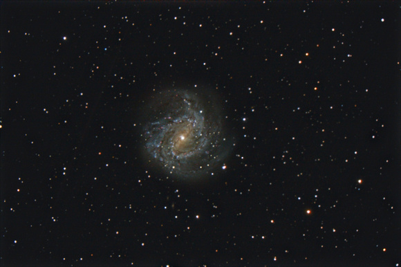 M83 - The Seashell Galaxy