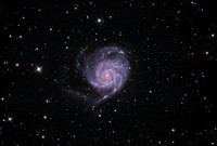m101 - The Pinwheel Galaxy